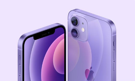 合江苹果手机维修分享紫色版iPhone 12有什么技术亮点 